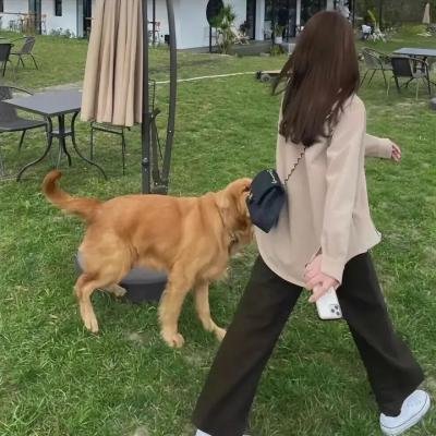 马桶妖怪3